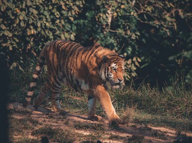 Untitled design (12)