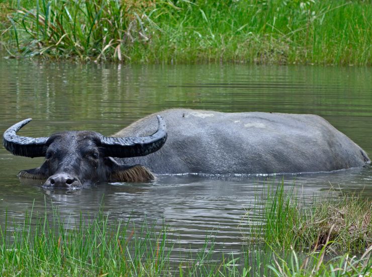 Untitled design (13)